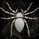 spider silver gold