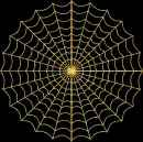 spiderweb gold gold