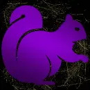 Squirell purple gold