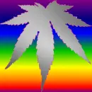 weed colorful pink