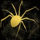  spider gold gold