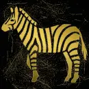 zebra gold gold
