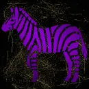 zebra purple gold