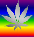 Colorful Silver Weed