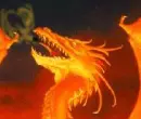 Fire dragon