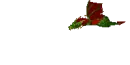 Earth dragon