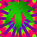 Weed