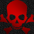 Skull Crossbones