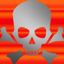Skull Crossbones