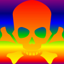 Skull Crossbones