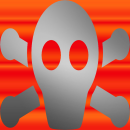 Skull Crossbones