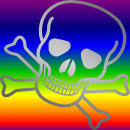Skull Crossbones