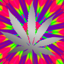 Weed silver