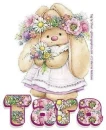 Tara, Bunnies, First Names, Cute