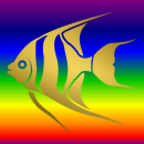 Angel Fish