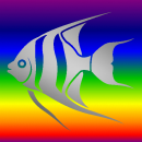 Angel Fish