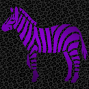 Zebra purple