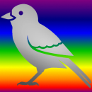 bird