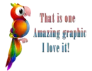 Cute Parrot 