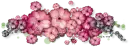 Flowers Divider