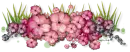 Flowers Divider