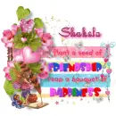 Seed Of Friendship ~ Shakela