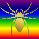 spider colorful gold