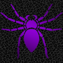 spider purple leo
