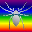 spider silver colorful