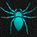 spider teal leo