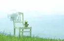 Spring Rain