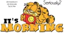 Seriously? it's MORNING, GARFIELD, CUTE, ANIMALS, CATS