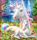 Bren Rainbow Unicorns