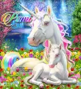Pami Unicorns