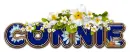 DAISY FLOWER CONNIE TEXT