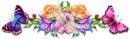 Flowers & Butterflies