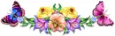 Flowers & Butterflies