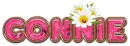 PINK DAISIES CONNIE 