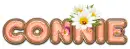 PEACH DAISIES CONNIE