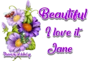 Purple Flowers - Jane