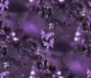Purple Butterflies