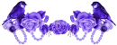 Purple Birds Divider