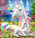 Shian 