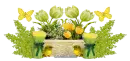 Springtime Divider