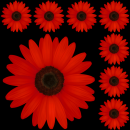 red flower