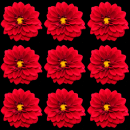 red flower
