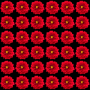 red flower