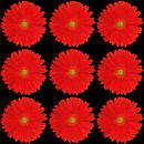 red flower
