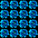 blue flower