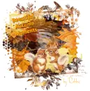 Beautiful Autumn Moments